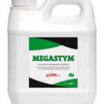 MEGASTYM®