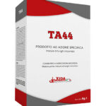 TA44