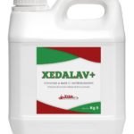 XEDALAV+