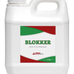 BLOKKER