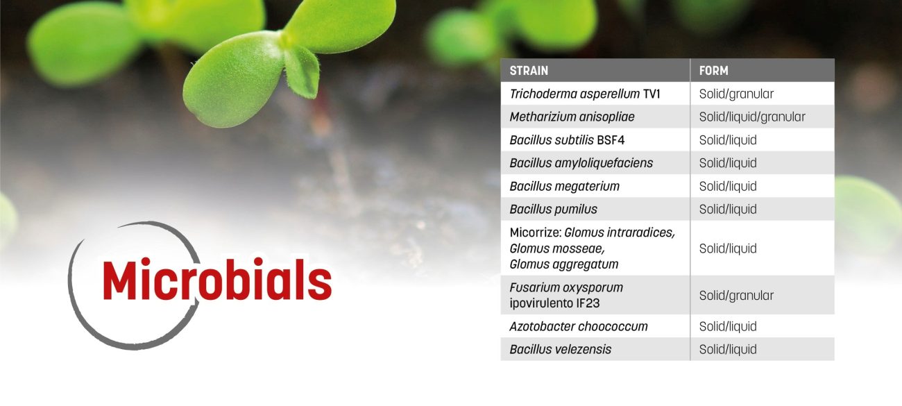 Microbials tabella en-min