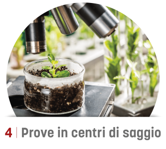 4 Prove in centri di saggio-min