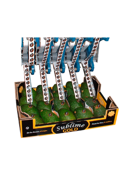 BCS CANVA ETICHETTATRICE AUTOMATICA BCS - immagine 1