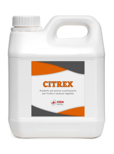 CITREX CITREX - immagine 1