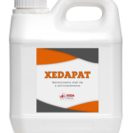 XEDAPAT