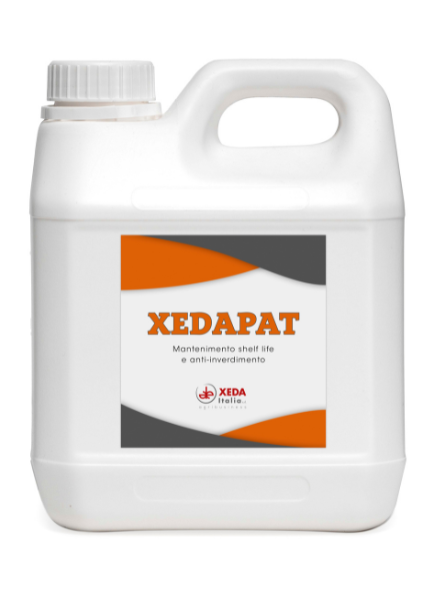 XEDAPAT XEDAPAT - immagine 1