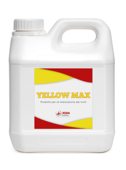 YELLOW MAX YELLOW MAX - immagine 1