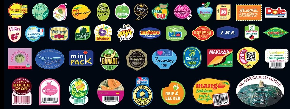 materiale bollini MATERIALE ETICHETTE - immagine 1