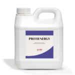 PROTIENERGY