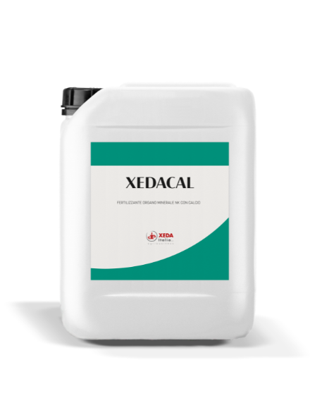 110 XEDACAL - immagine 1