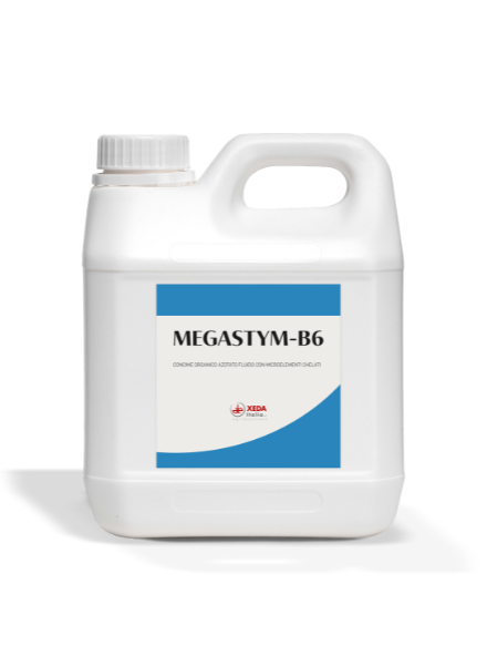 99 MEGASTYM-B6 - immagine 1